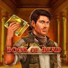 Play the Book of Dead slot by Play&#039;n GO on rewards-casino