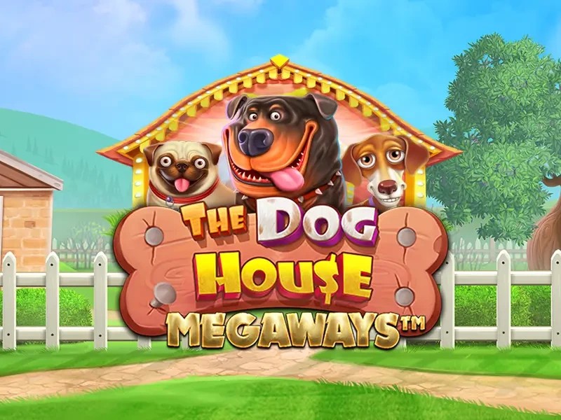 Play The Dog House Megaways slot by Pragmatic Play on casinorewards.si